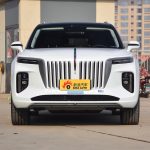 Hongqi E-HS9 E-HS9 2022 660KM Flag Chang Edition Six seater