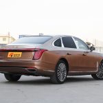 Hongqi H9 2022 2.0T Zhilian Flag Edition