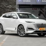 Chang'an UNI-K 2021 2.0T All Wheel Drive Luxury