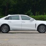 Hongqi H9 2022 2.0T Zhilian Flag Edition