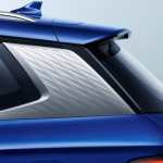 BYD Song PLUS Song Plus 21 Flagships