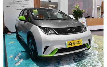 BYD Dolphin 2023 420KM Freedom Edition