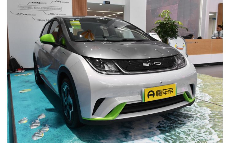 BYD Dolphin 2023 420KM Freedom Edition