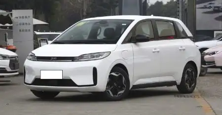 BYD D1 2022 Standard Edition