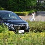 Trumpchi M8 2023 Master Series Double Engine Flagship