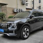 Trumpchi GS8 2022 Navigation seriers 2.0TGDI 2wd 6/7seats smartlink