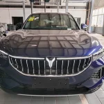 Voyah FREE 2021 4wd electric standart luxury package