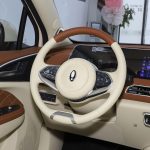 ORA Good Cat 2023 401km standard range Exclusive