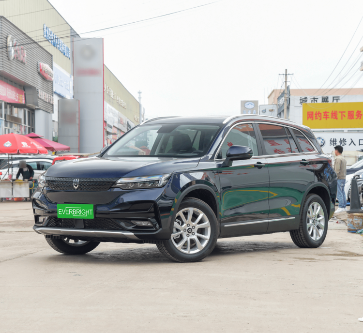 Skyworth EV6 2022 520 Travel Edition